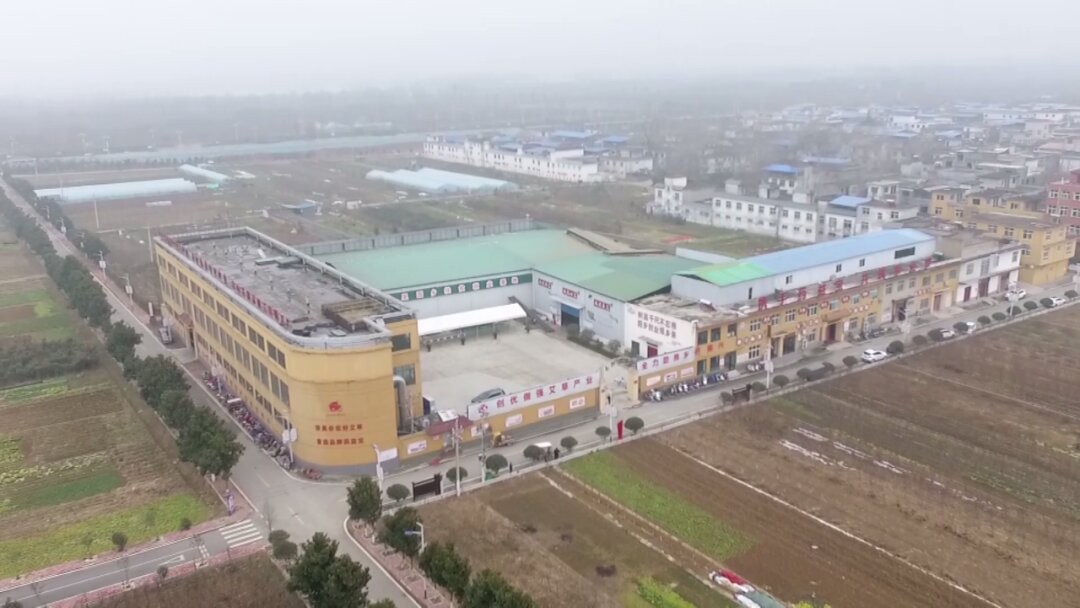 ��������������������ǿ���ݹ�ҵ